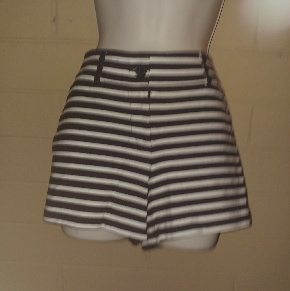 Ann Taylor LOFT Striped Dress Shorts - Size 0